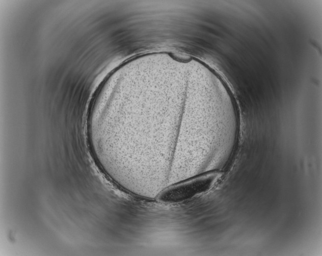 X0000102360949200808221713