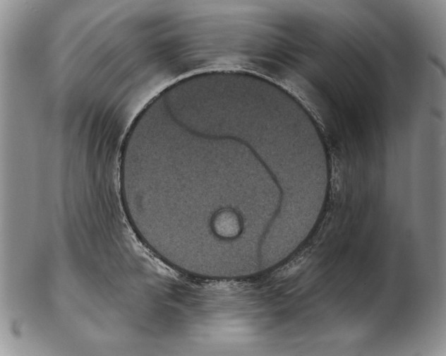 X0000102360950200808221713