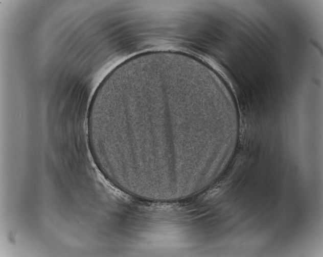 X0000102360951200808221713