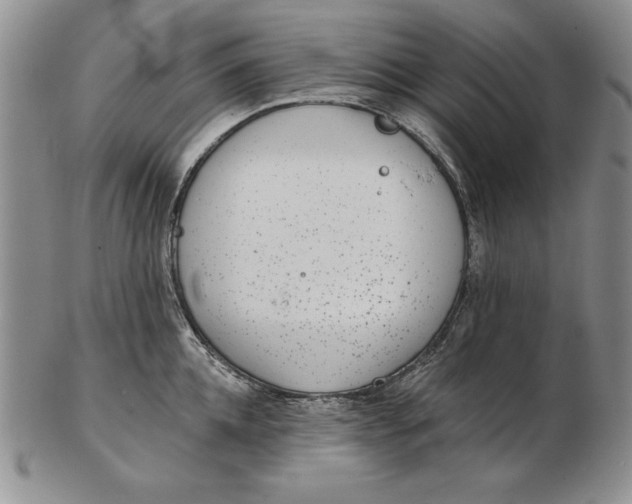 X0000102360952200808221713