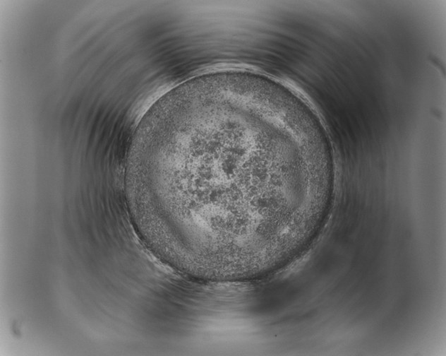 X0000102360953200808221713