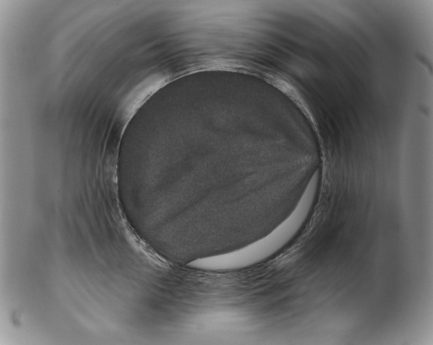 X0000102360954200808221713