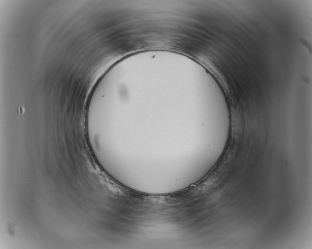 X0000102360956200808221713