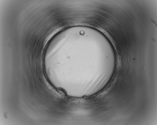 X0000102360957200808221713