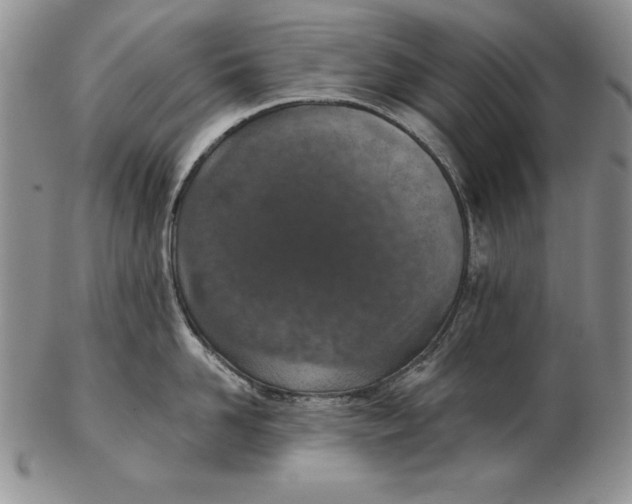 X0000102360958200808221713