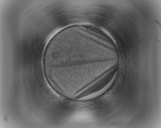 X0000102360959200808221713