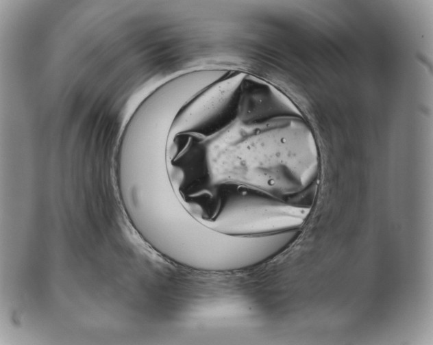 X0000102360960200808221713