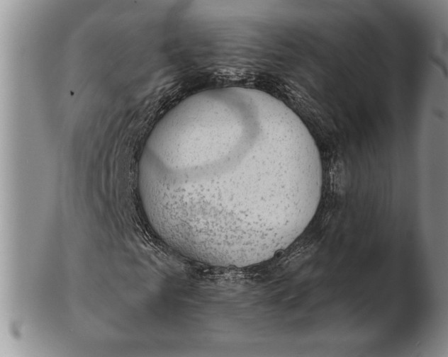 X0000102360961200808221712