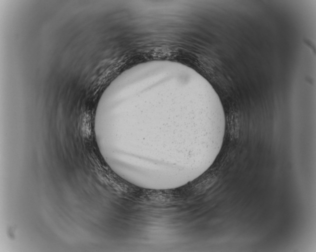 X0000102360962200808221712