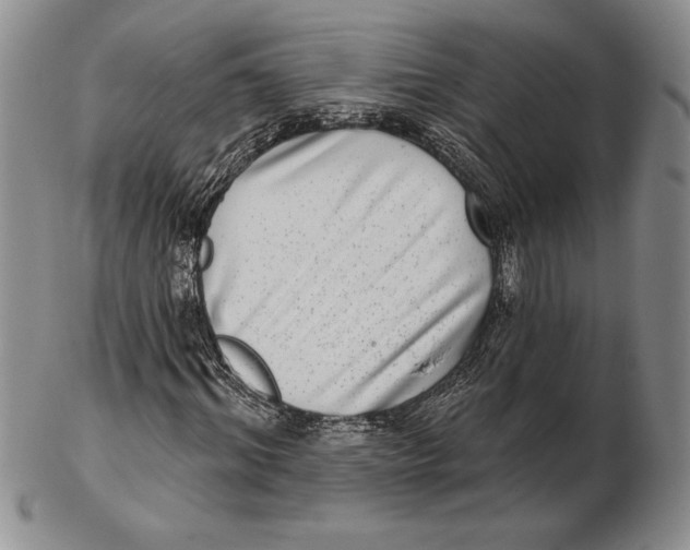 X0000102360964200808221712