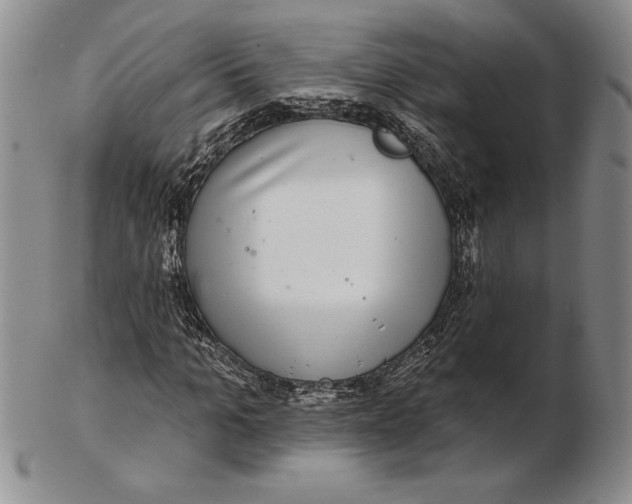 X0000102360965200808221712