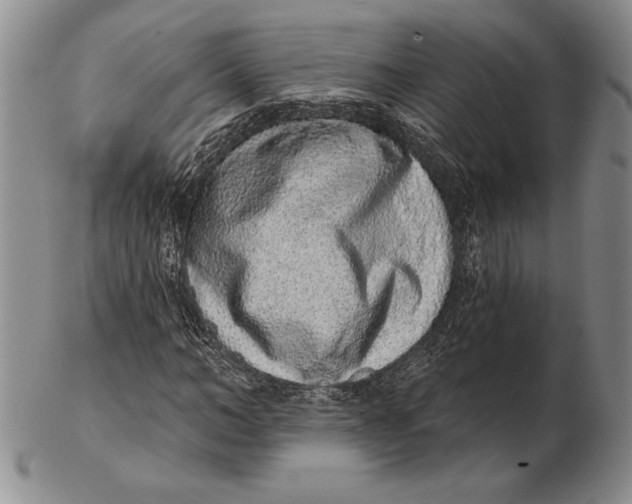 X0000102360966200808221712