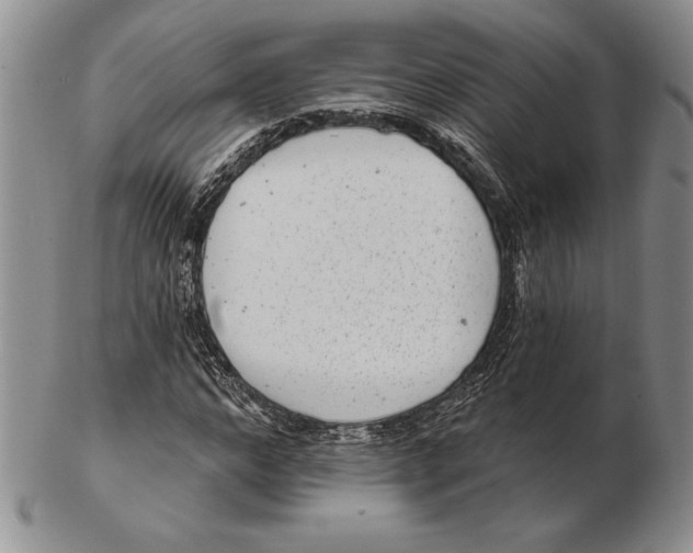 X0000102360968200808221712