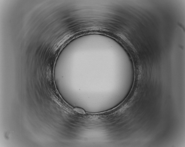 X0000102360969200808221712