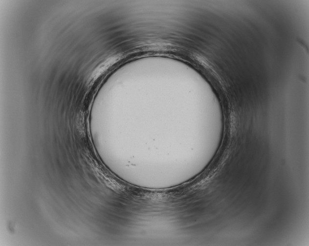 X0000102360970200808221712