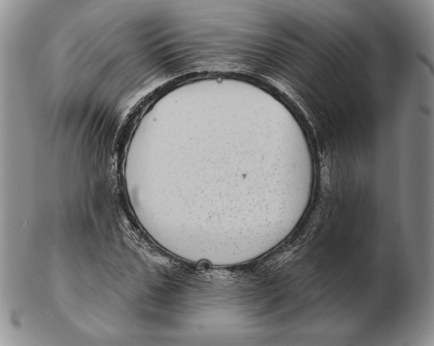 X0000102360971200808221712