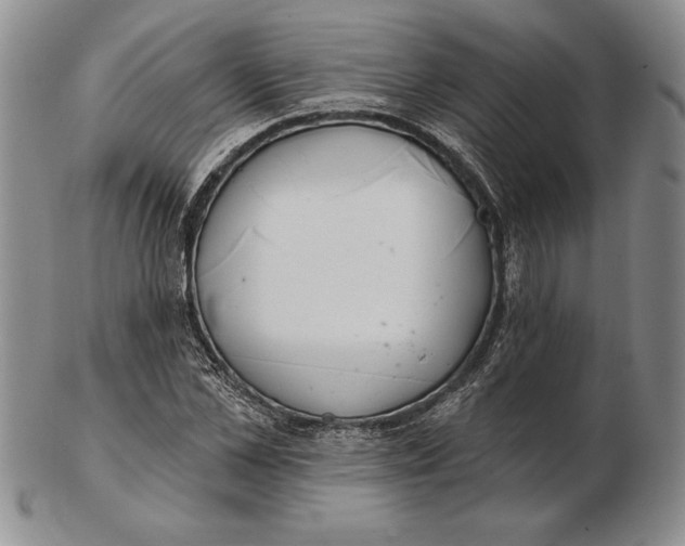 X0000102360973200808221712