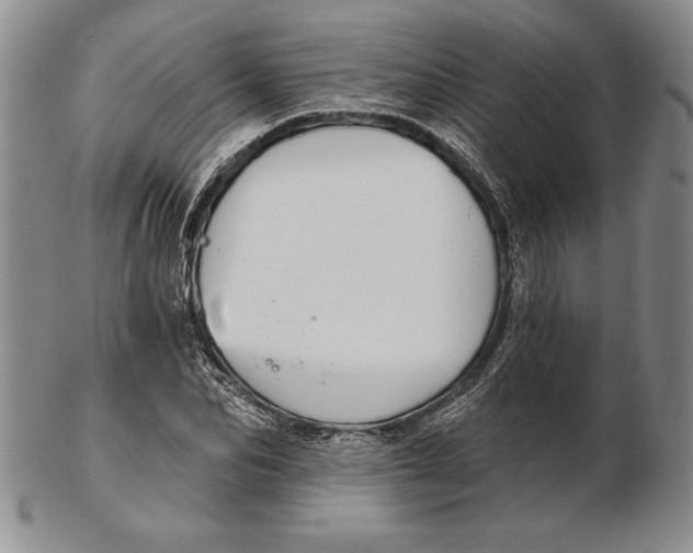 X0000102360974200808221712