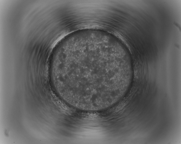 X0000102360975200808221712