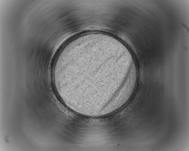 X0000102360976200808221712