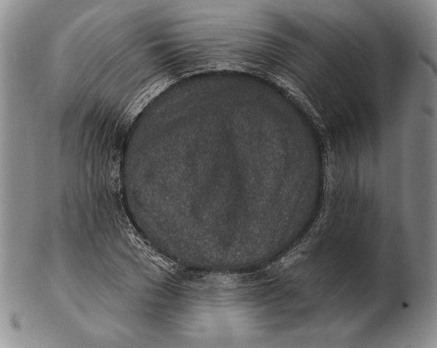 X0000102360977200808221712