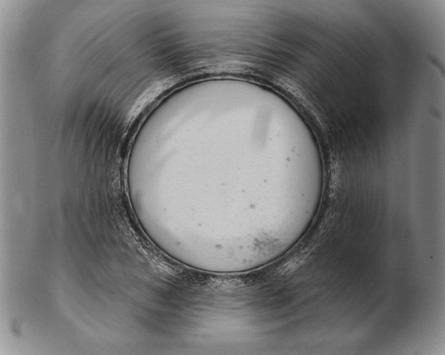 X0000102360978200808221712