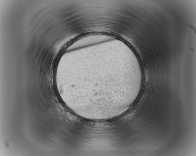 X0000102360979200808221712