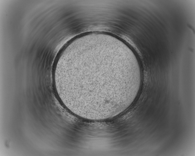 X0000102360980200808221712