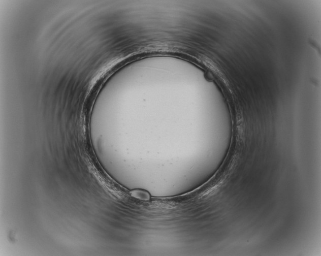 X0000102360981200808221712