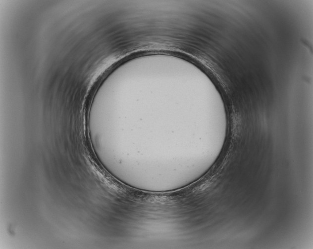 X0000102360982200808221712