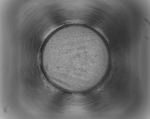 X0000102360983200808221712