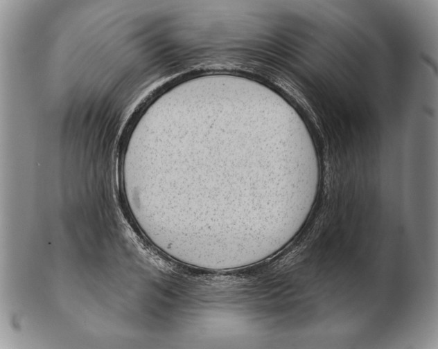 X0000102360984200808221712