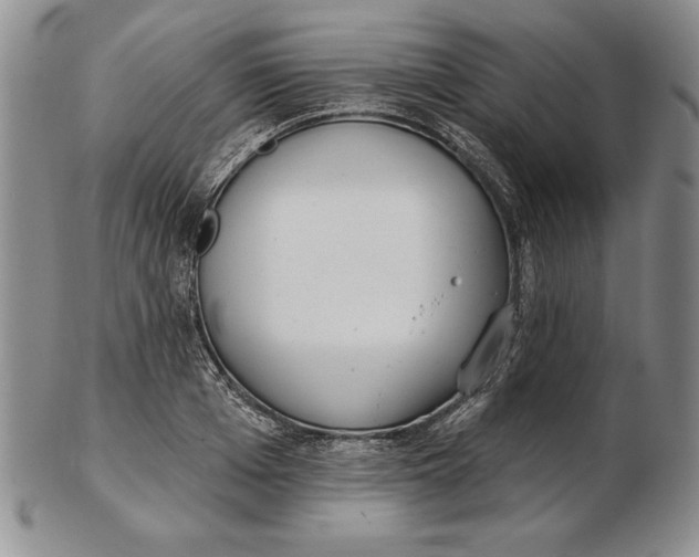 X0000102360985200808221712