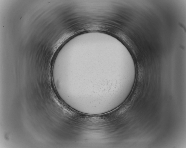 X0000102360986200808221712