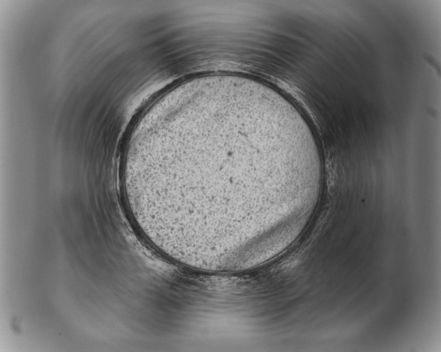 X0000102360987200808221712