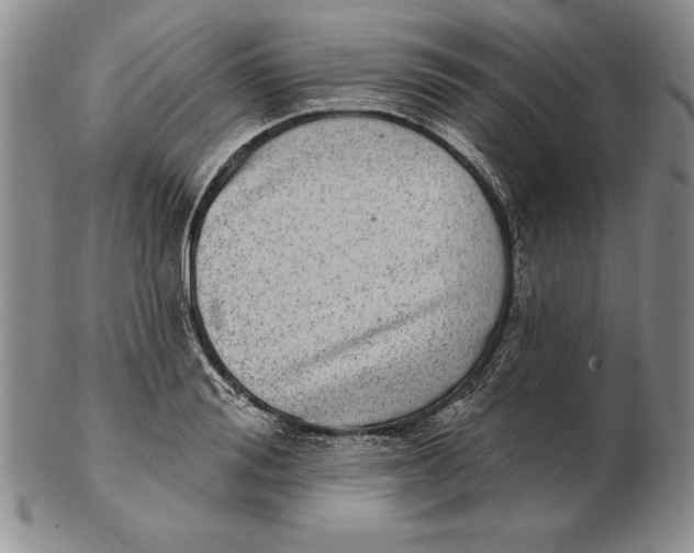 X0000102360988200808221712