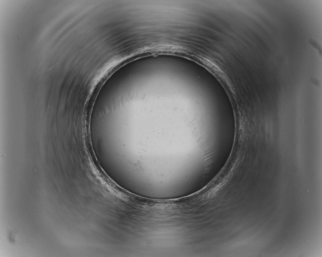 X0000102360989200808221712