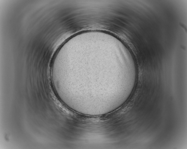 X0000102360990200808221712