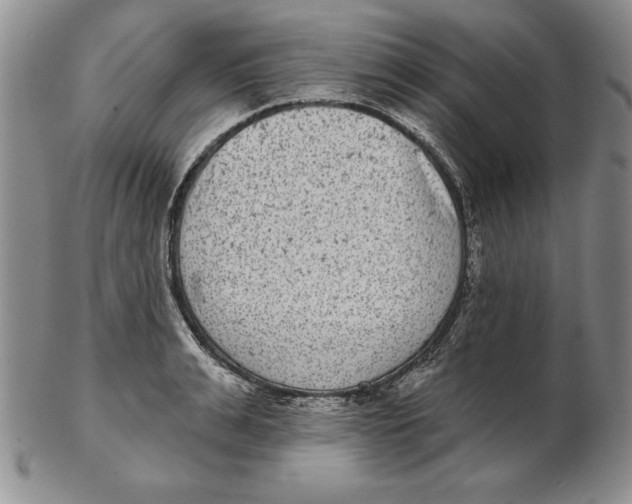 X0000102360991200808221712