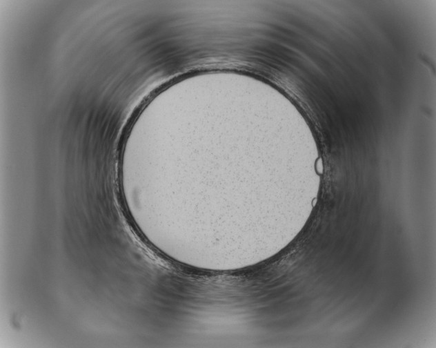 X0000102360992200808221712