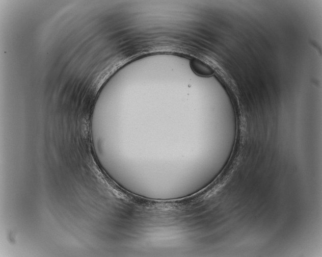 X0000102360993200808221712