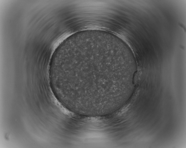 X0000102360995200808221712