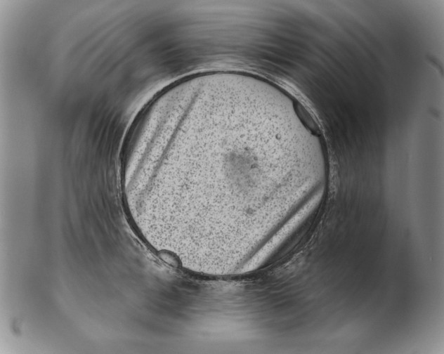 X0000102360996200808221712