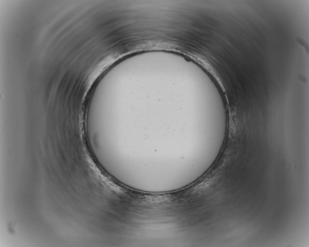 X0000102360997200808221712