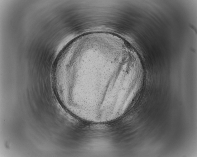 X0000102360998200808221712