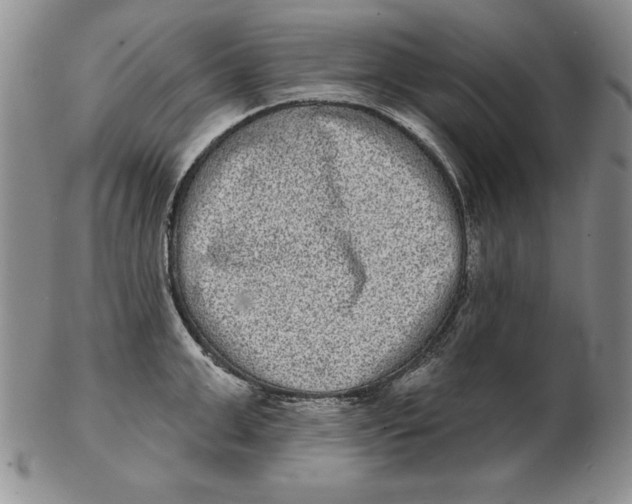 X0000102360999200808221712