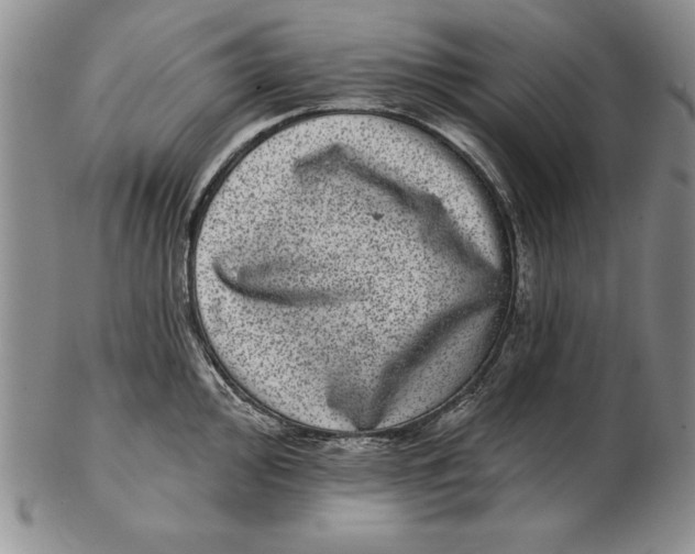 X0000102361000200808221712