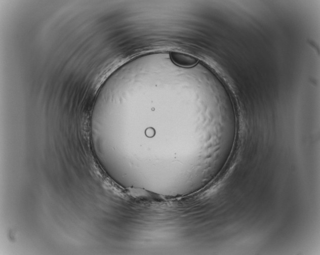 X0000102361001200808221712