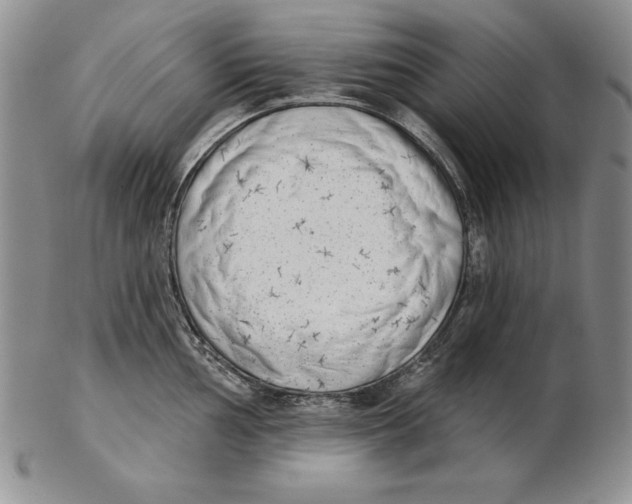 X0000102361002200808221712