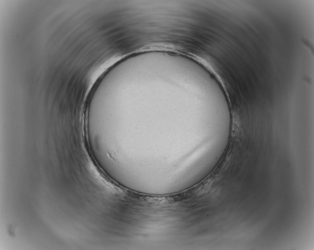 X0000102361003200808221712